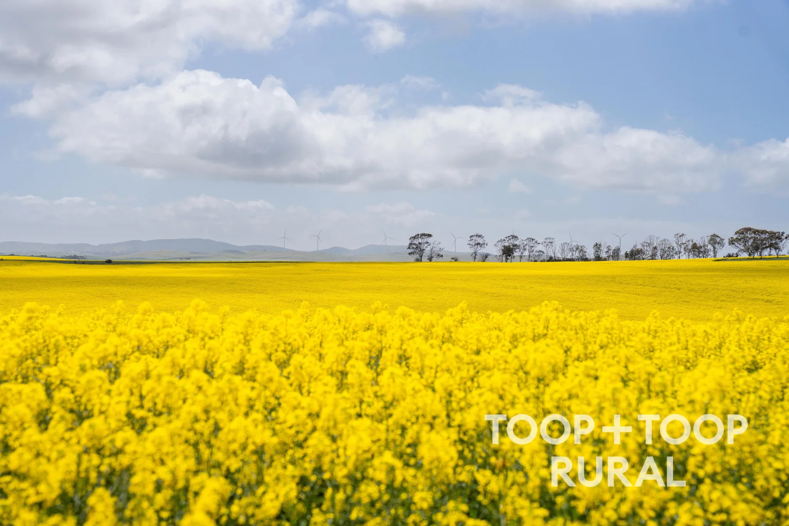 Additional image 6 of Hardings Road, Black Springs SA 5413