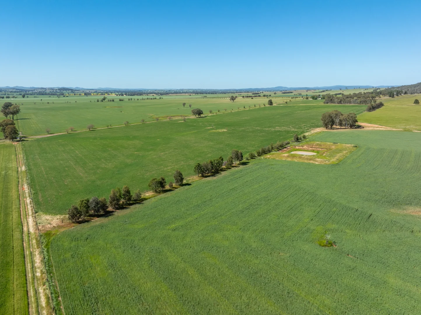 Additional image 36 of 92 Campbells Lane, Canowindra NSW 2804