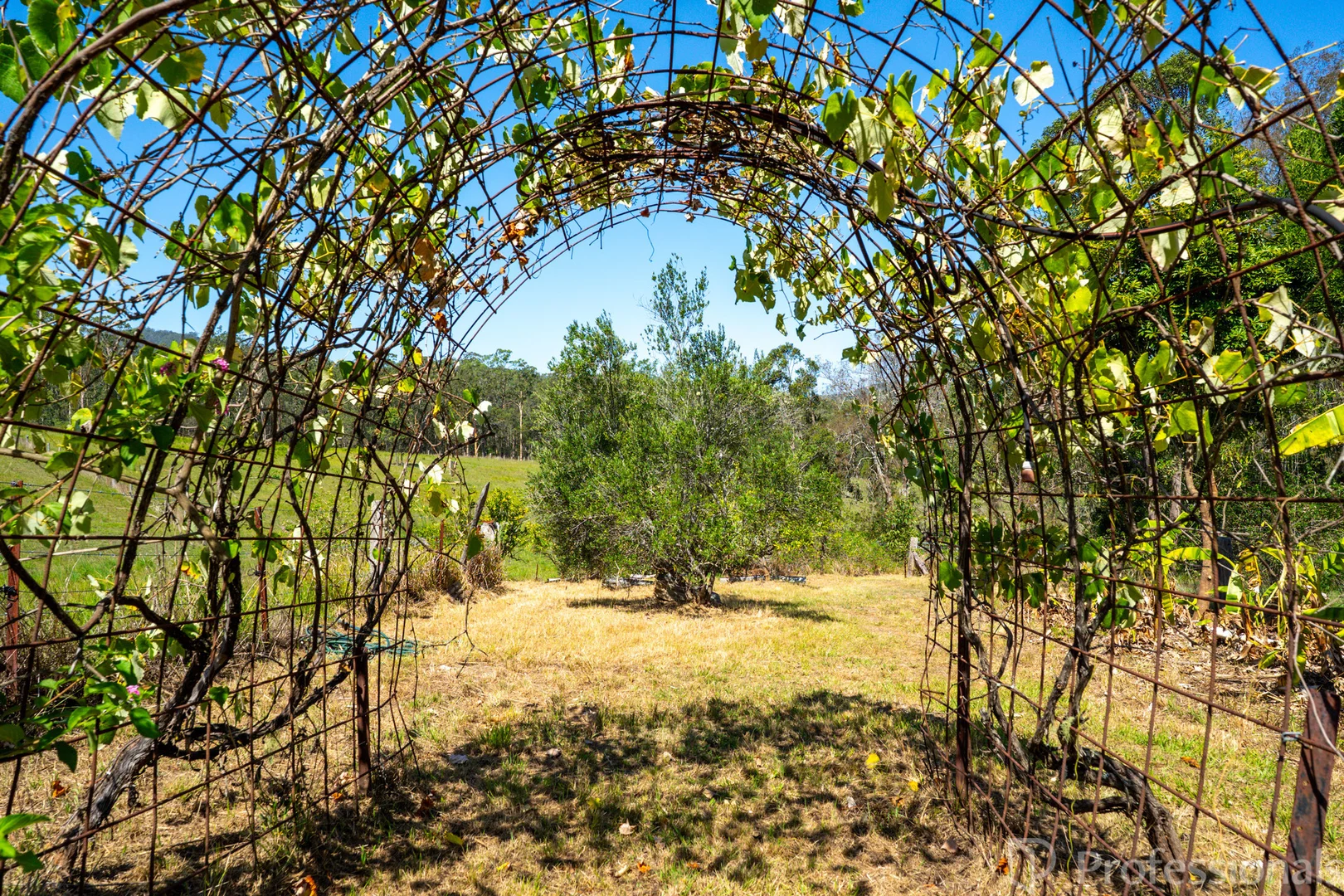 Additional image 14 of 499 Avalon Road, Dyers Crossing NSW 2429