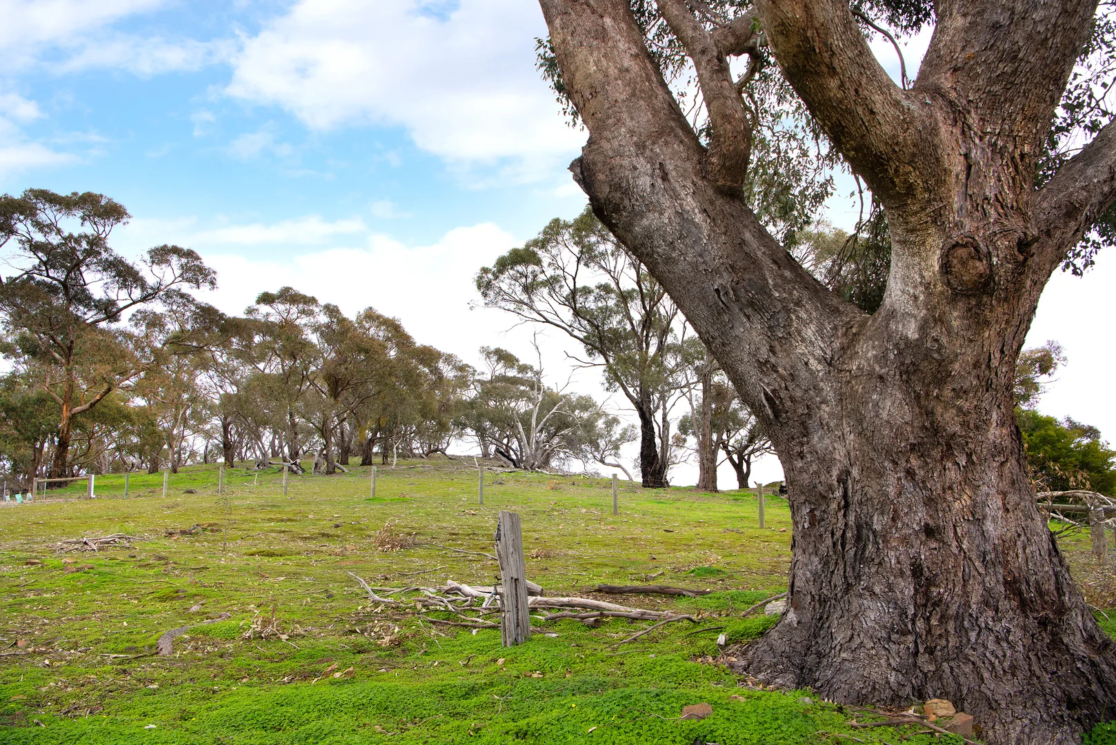 Additional image 9 of 92 Parkins Reef Road, Maldon VIC 3463