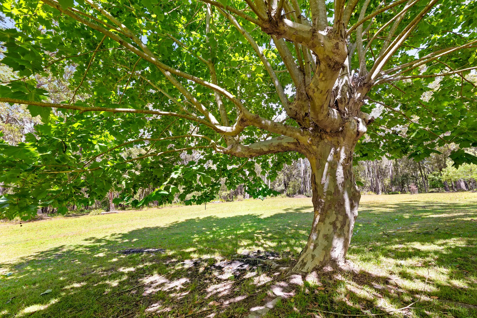 Additional image 7 of 343 Bingie Road, Bingie NSW 2537