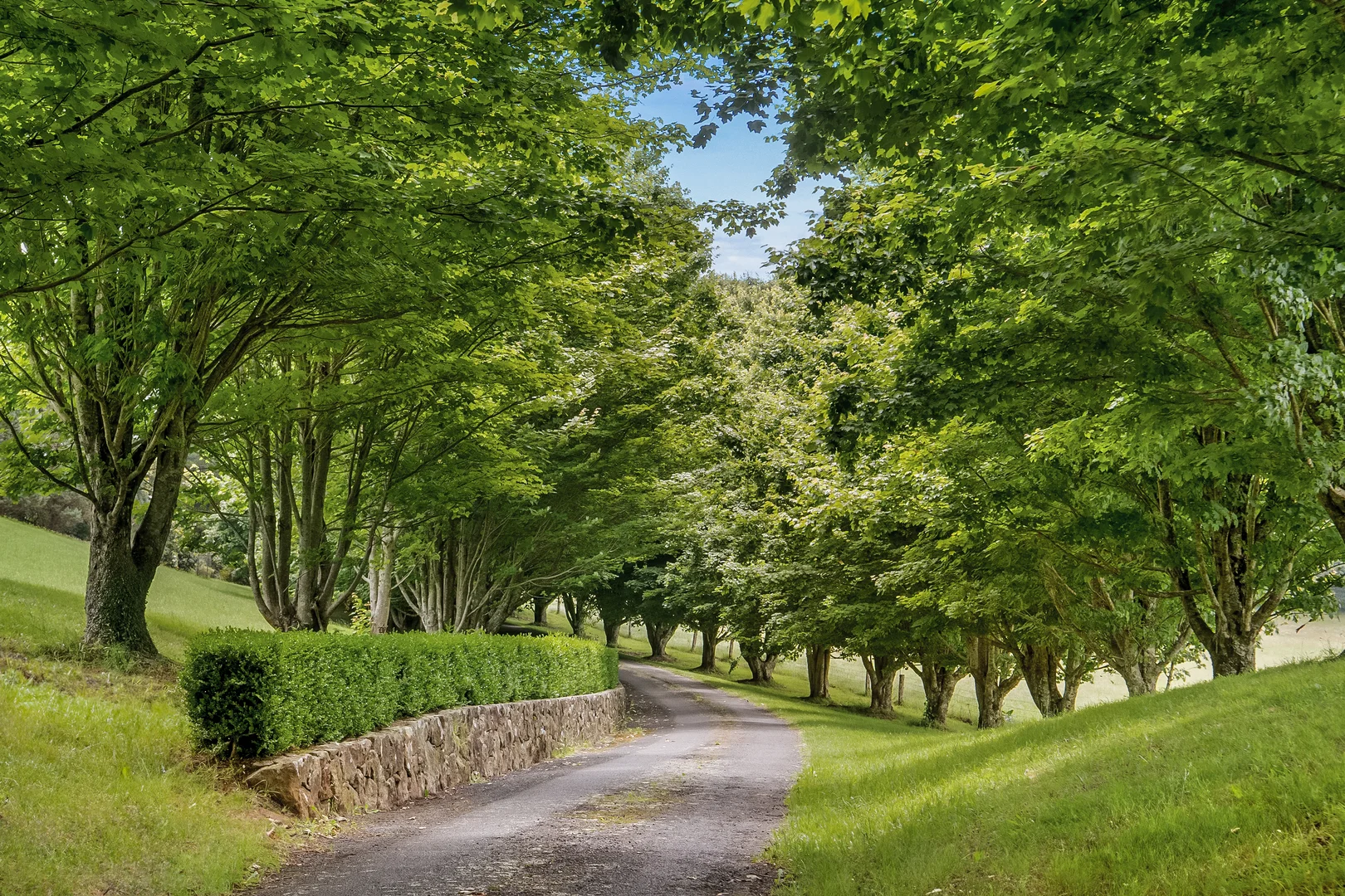 Additional image 6 of 801 Kangaroo Valley Road, Bellawongarah NSW 2535