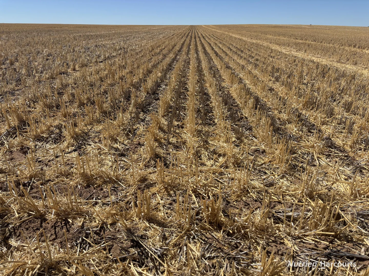 Additional image 5 of . 'Scotts', Yelbeni WA 6487