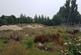 Additional image 3 of 172 Anlaby Park Road South, Hull, East Yorkshire, HU4 7BU