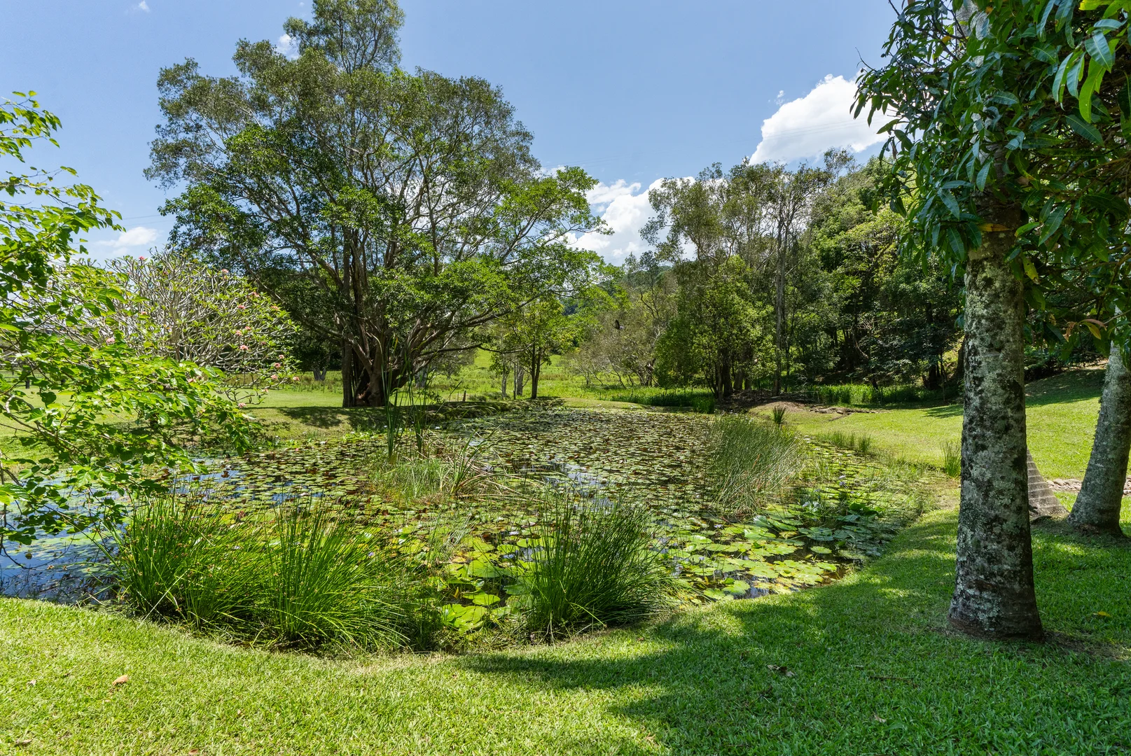 Additional image 26 of 1130 Terranora Road, North Tumbulgum NSW 2490