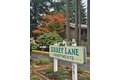 2810 Ruddell Rd SE, Lacey, WA, 98503