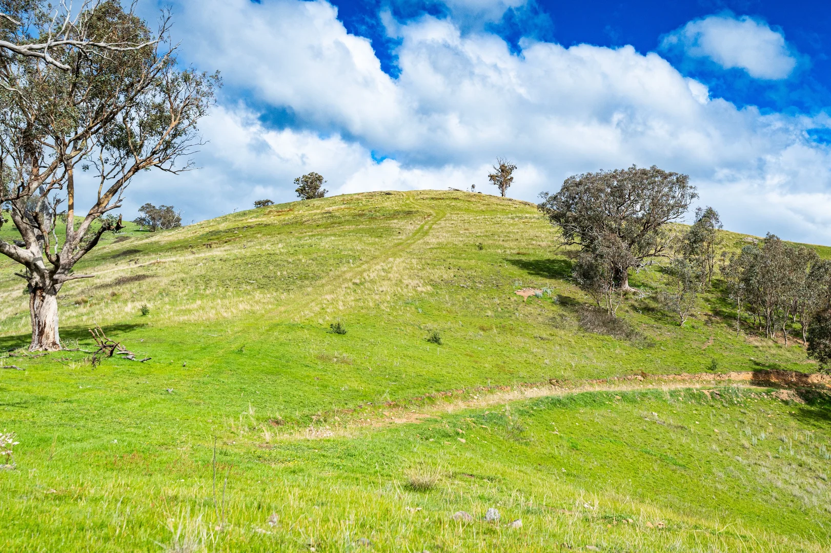 Additional image 14 of . Packers Road, Bethanga VIC 3691