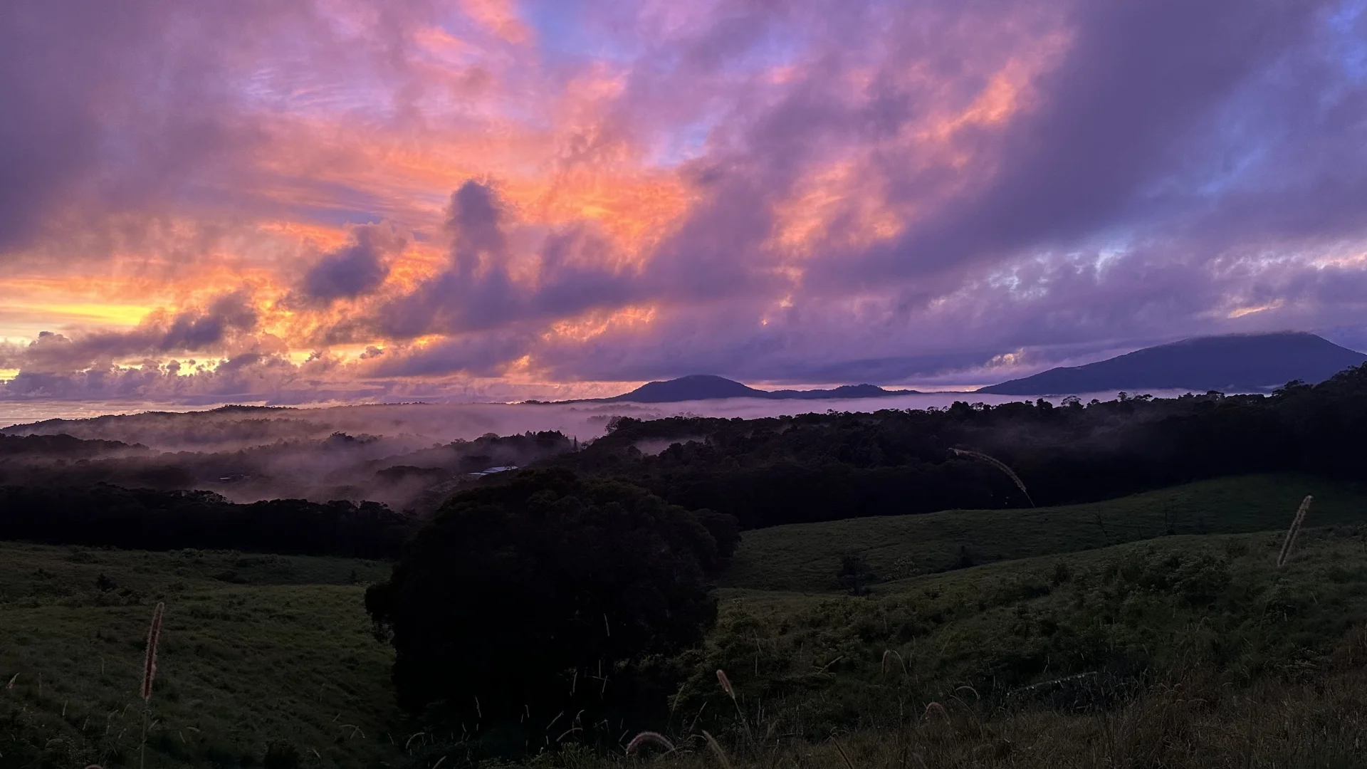 Additional image 42 of 4532 Black Mountain Road, Julatten QLD 4871