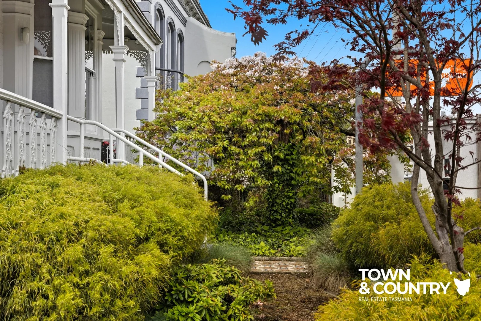 Additional image 4 of 55 Elphin Road, Launceston TAS 7250