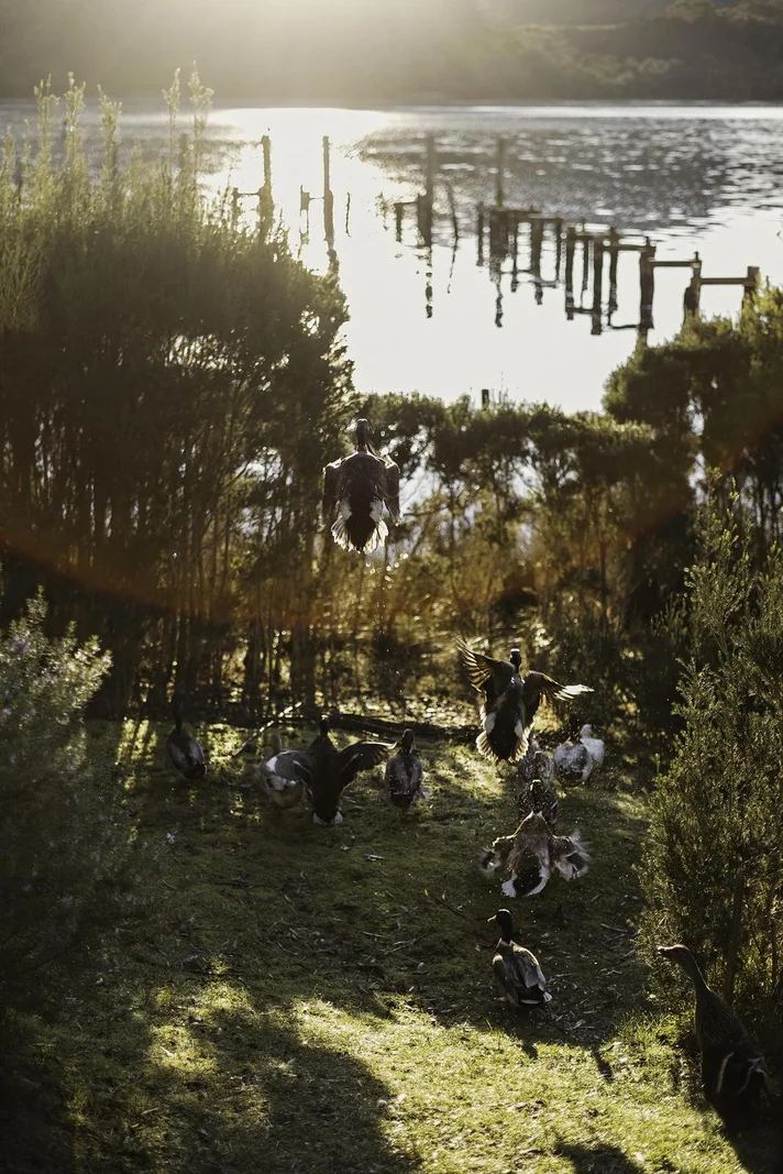 Additional image 3 of 61 Lettes Bay Road, Strahan TAS 7468