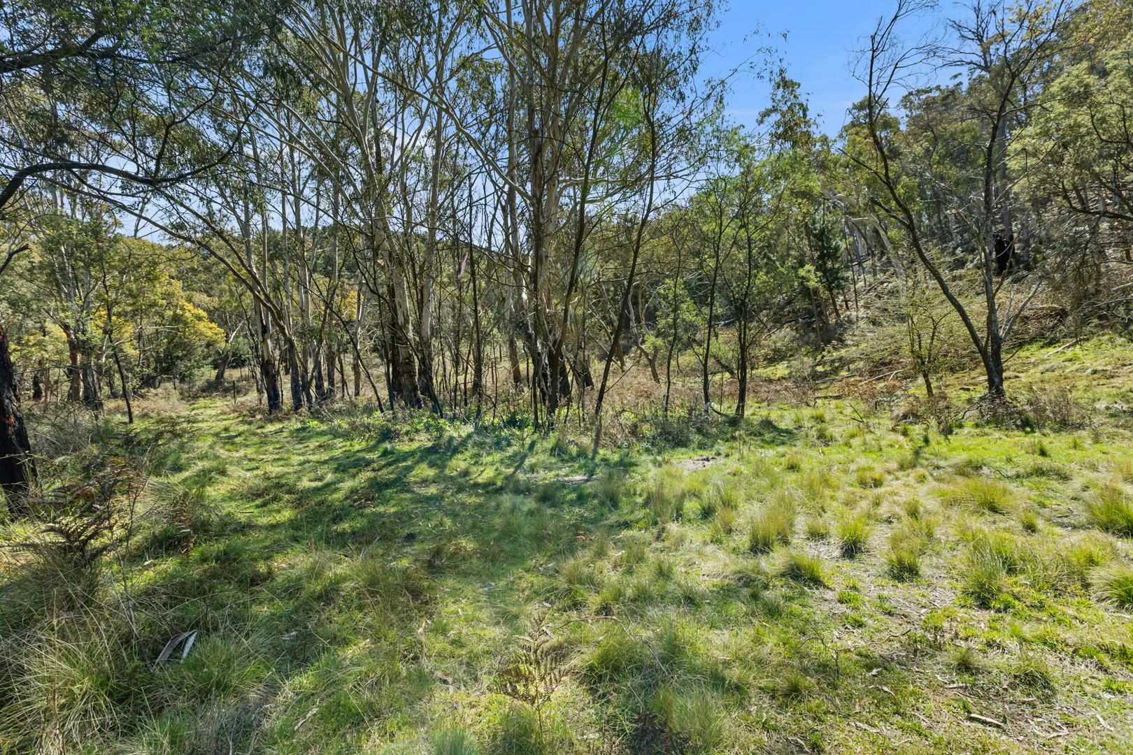 Additional image 4 of Lot 86 Ophir Road, Orange NSW 2800