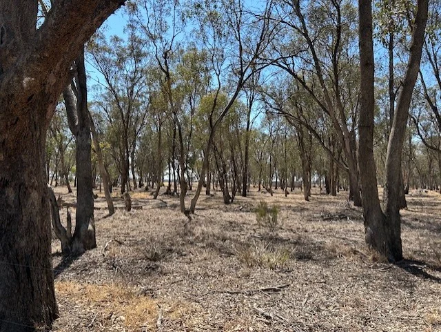 Additional image 7 of 1770 Goulburn Valley Highway, Tallygaroopna VIC 3634