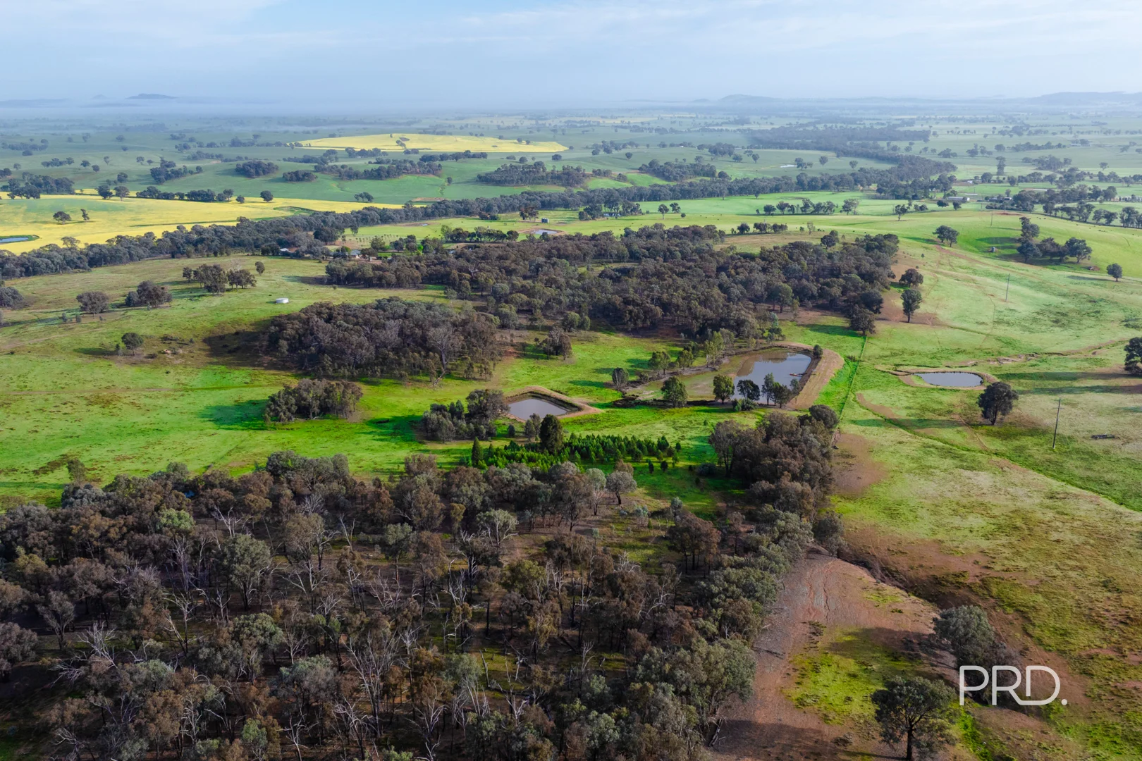Additional image 32 of 3174 Holbrook Road, Mangoplah NSW 2652