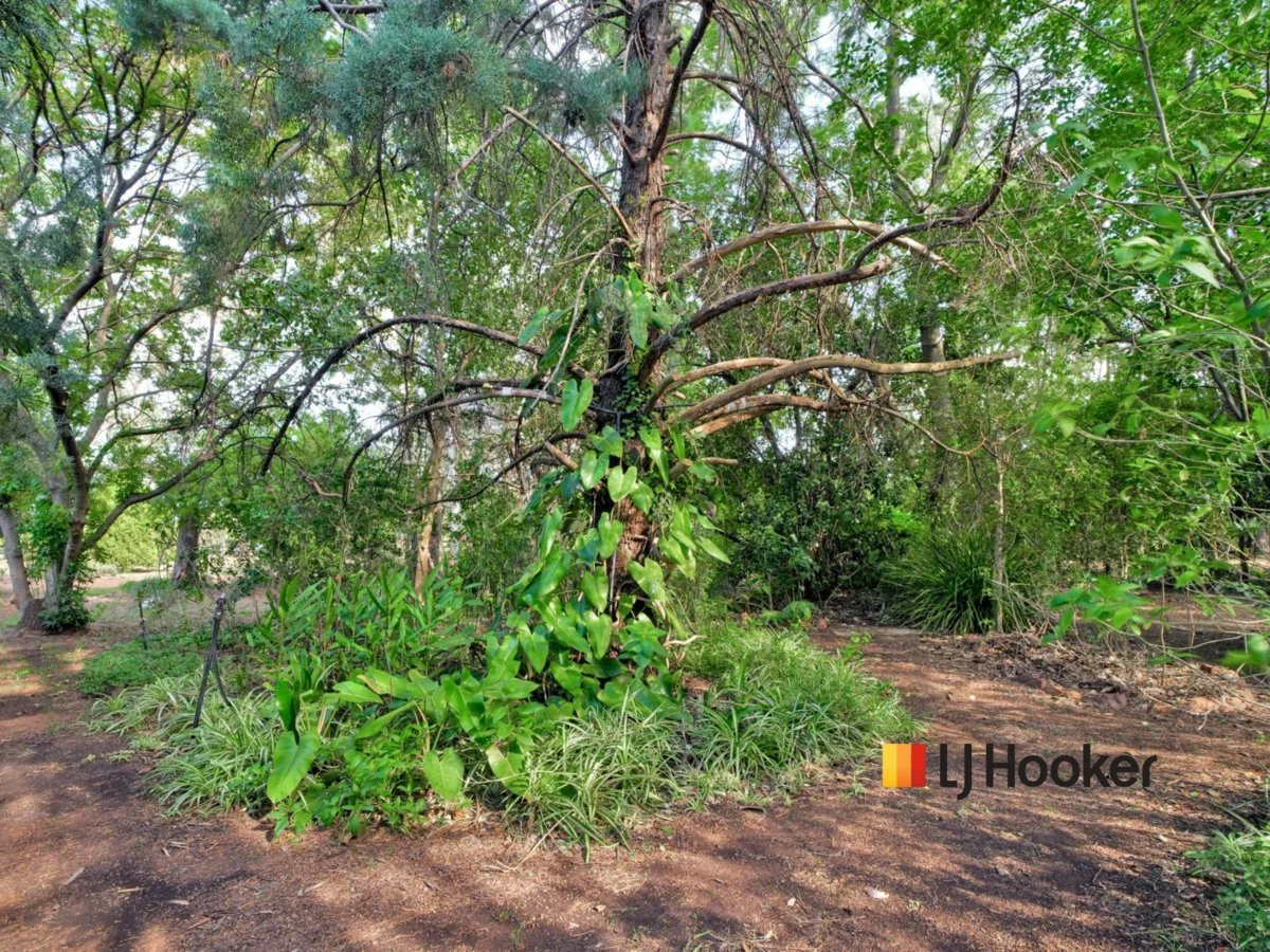 Additional image 37 of 16 Warren Road, Narromine NSW 2821