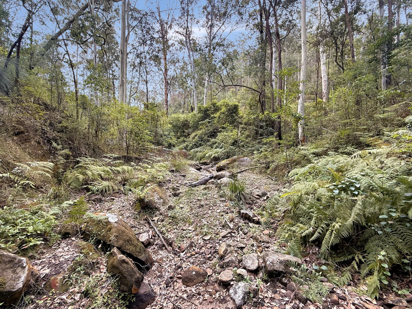 Additional image 16 of 946 Stockyard Creek Road, Paynes Crossing NSW 2325