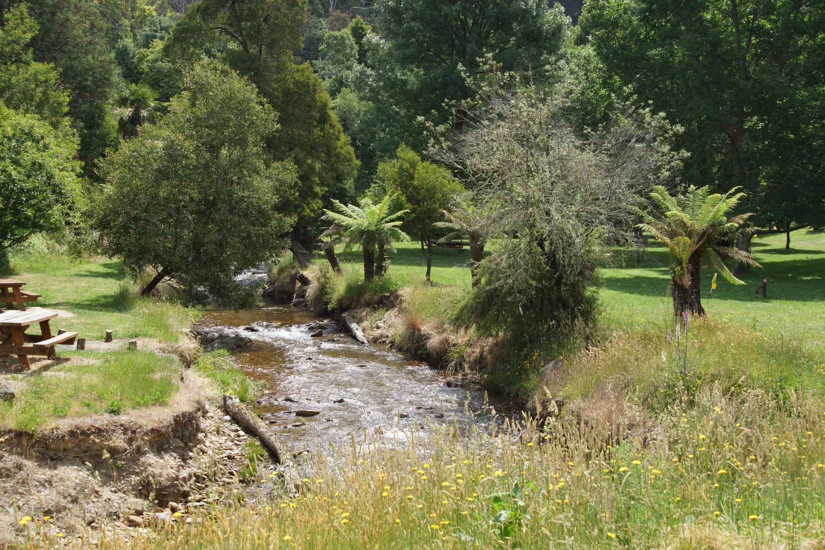 Additional image 23 of 30 Scott Street, Woods Point VIC 3723