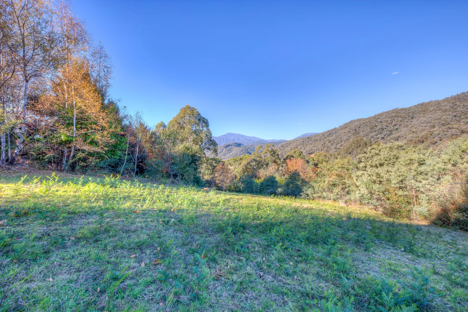 Additional image 6 of 198 Simmonds Creek Road, Tawonga South VIC 3698