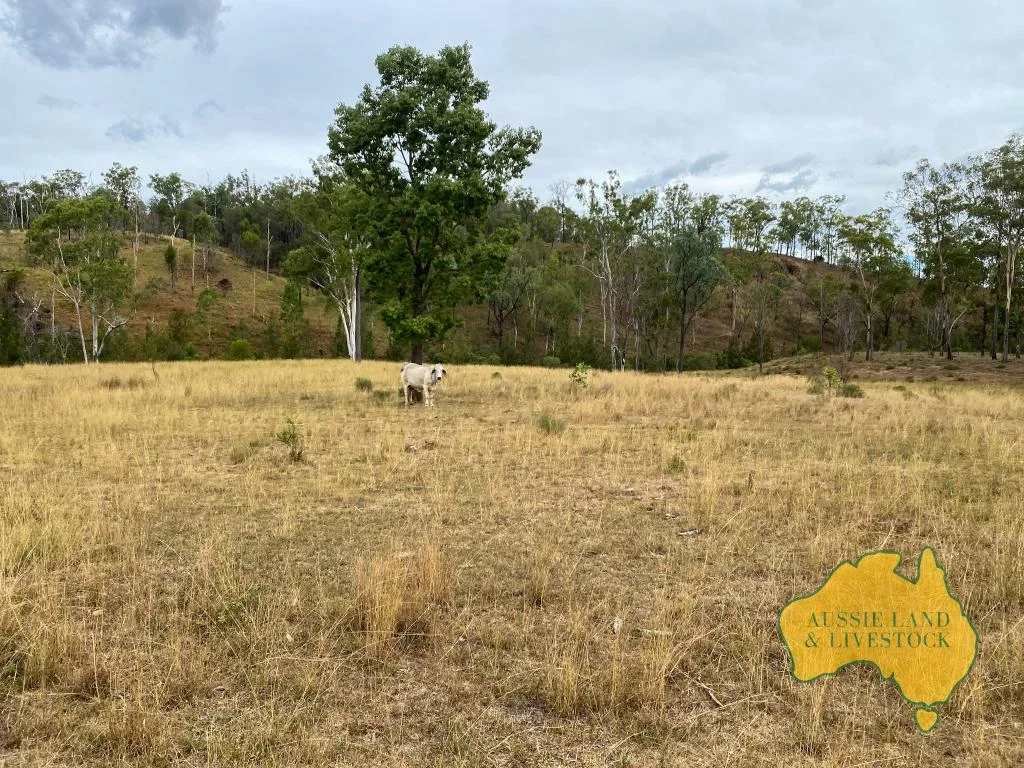Additional image 18 of 2360 MONTO MOUNT PERRY ROAD, Yarrol QLD 4630