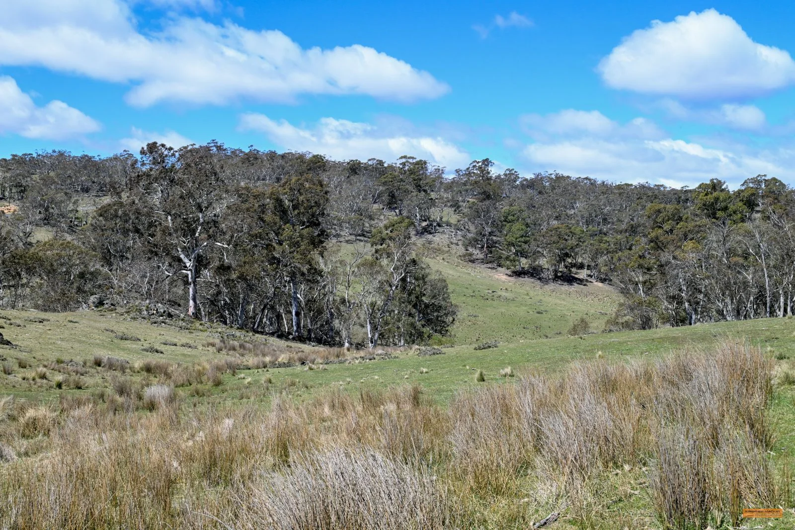 Additional image 26 of "King's Ridge" 698 Avonside Road, Avonside NSW 2628