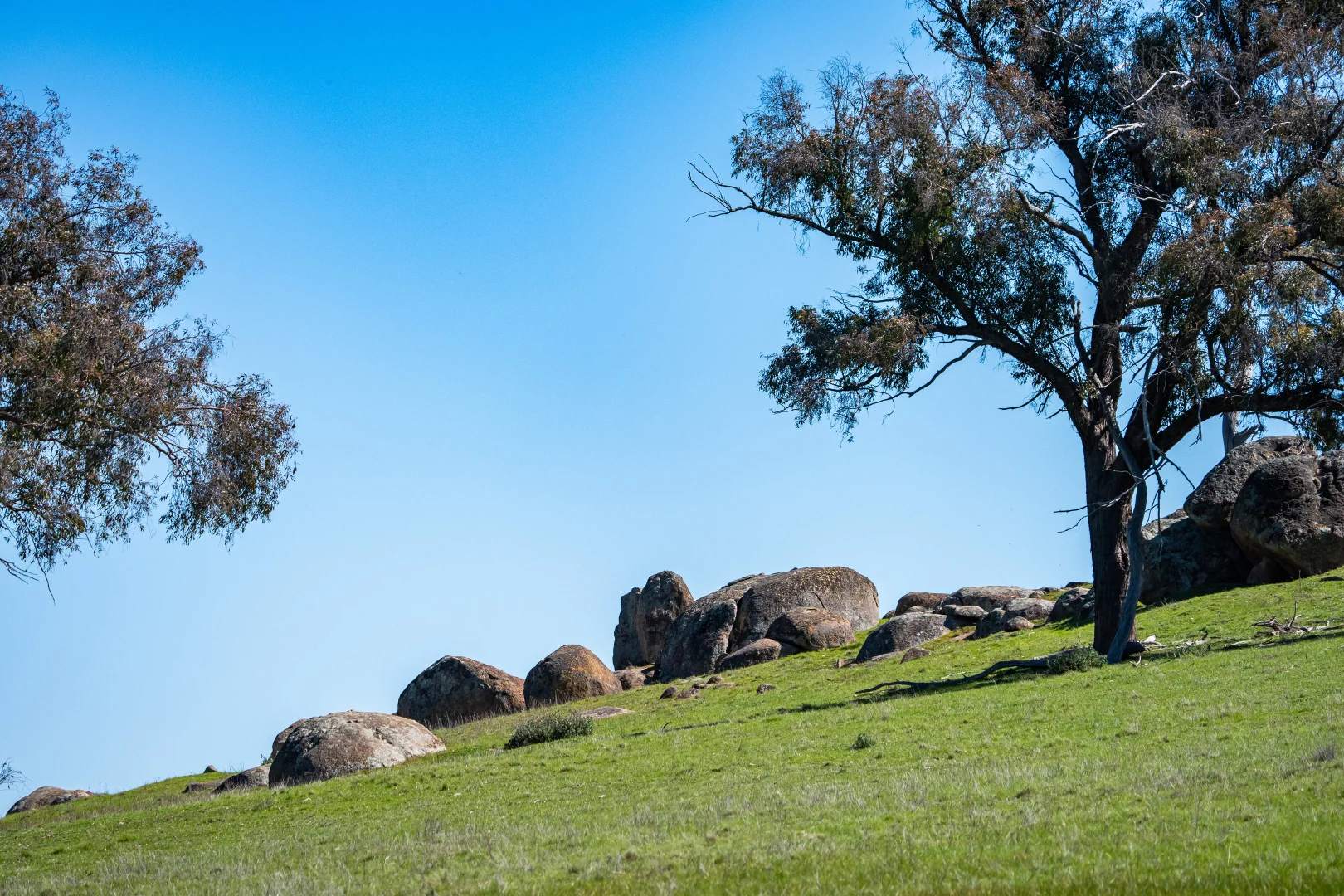 Additional image 25 of . Sanderson Road, Springhurst VIC 3682