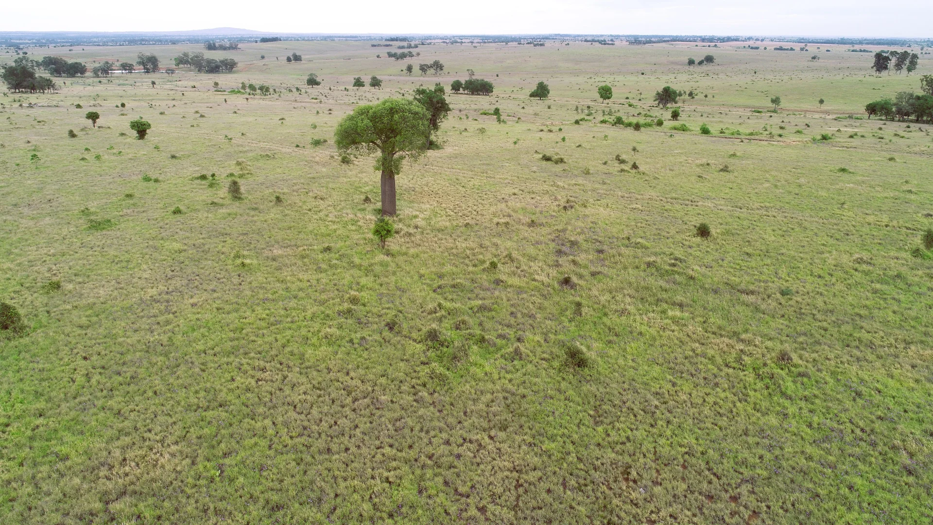 Additional image 2 of 'Bracco' Orallo Road, Roma QLD 4455