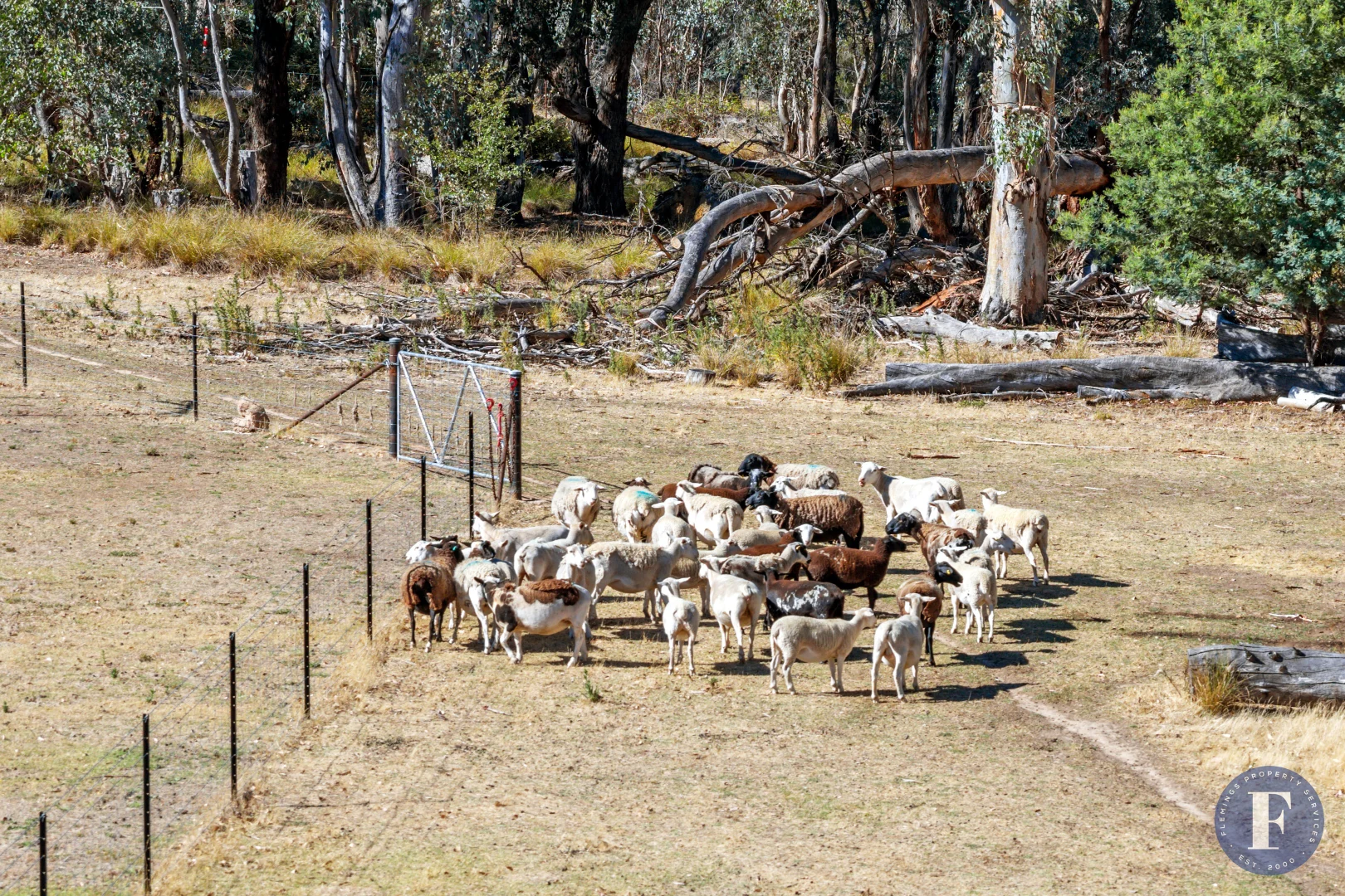 Additional image 21 of 863B Taylors Flat Road, Taylors Flat NSW 2586