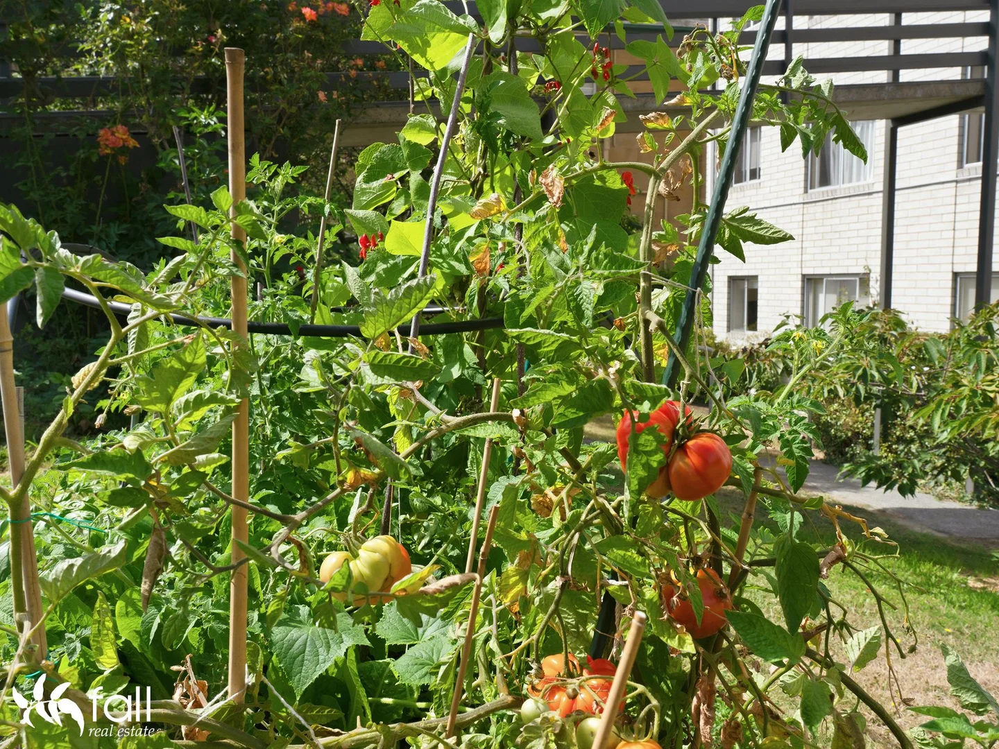 Additional image 23 of 12/220 Davey Street, South Hobart TAS 7004