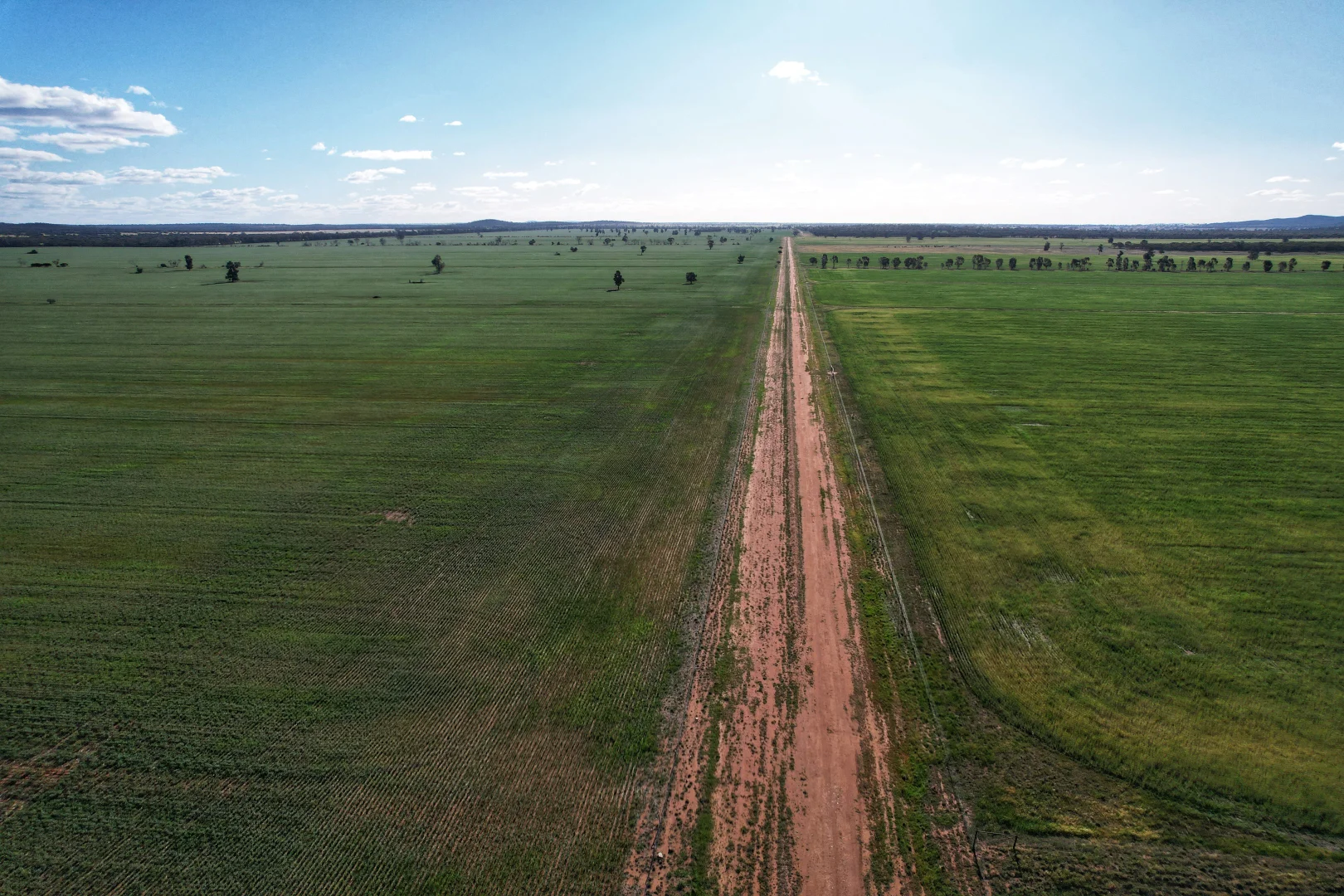 Additional image 8 of 'Laurel Hills' 81 Salters Road, Condobolin NSW 2877