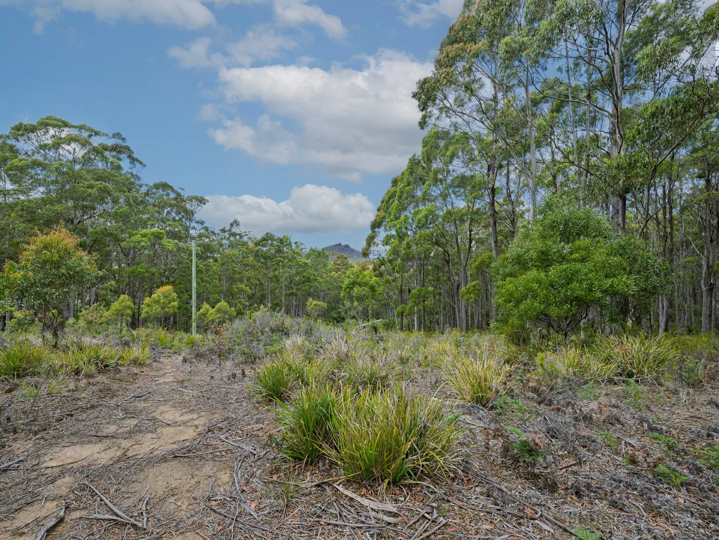 Additional image 8 of PID 6409528 Esk Main Road, St Marys TAS 7215