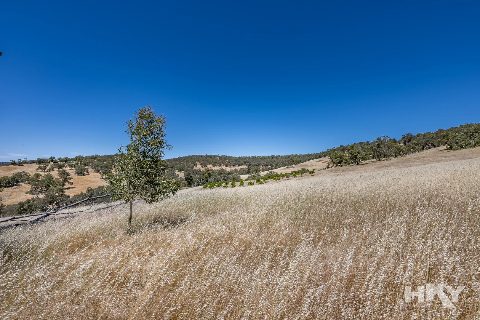 Additional image 8 of 5332 Great Northern Highway (Enter Off Chittering Road), Chittering WA 6084