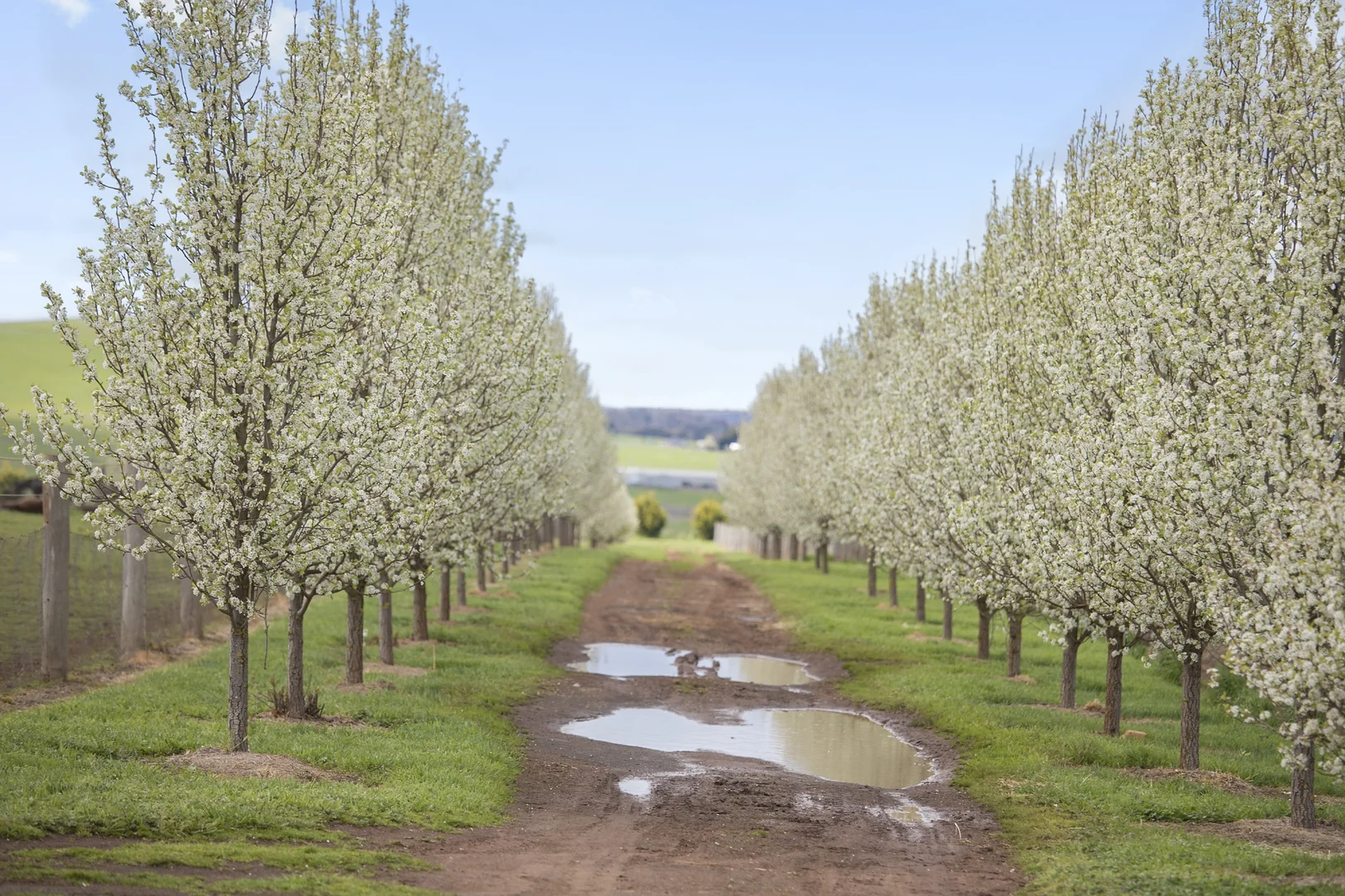 Additional image 7 of Lot 13A/114 Cemetery Road, Smeaton VIC 3364