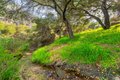 Additional image 47 of 19511 Sunken Trl, Topanga, CA, 90290
