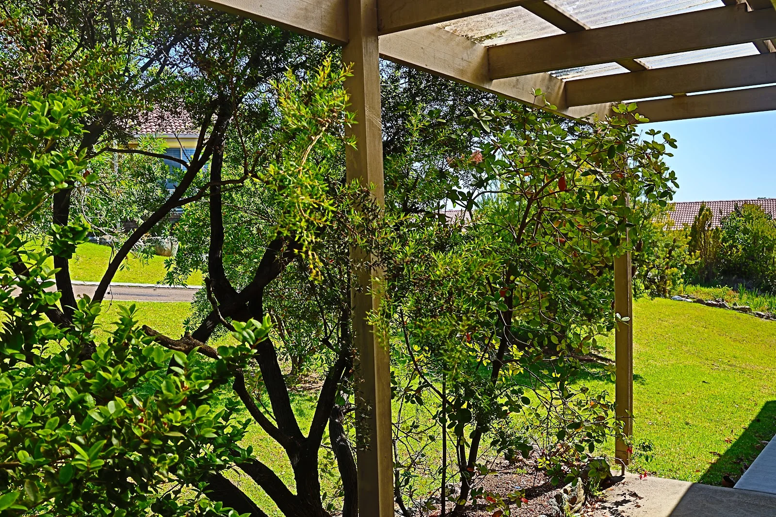 Additional image 13 of 18/11 Payne Street, Narooma NSW 2546