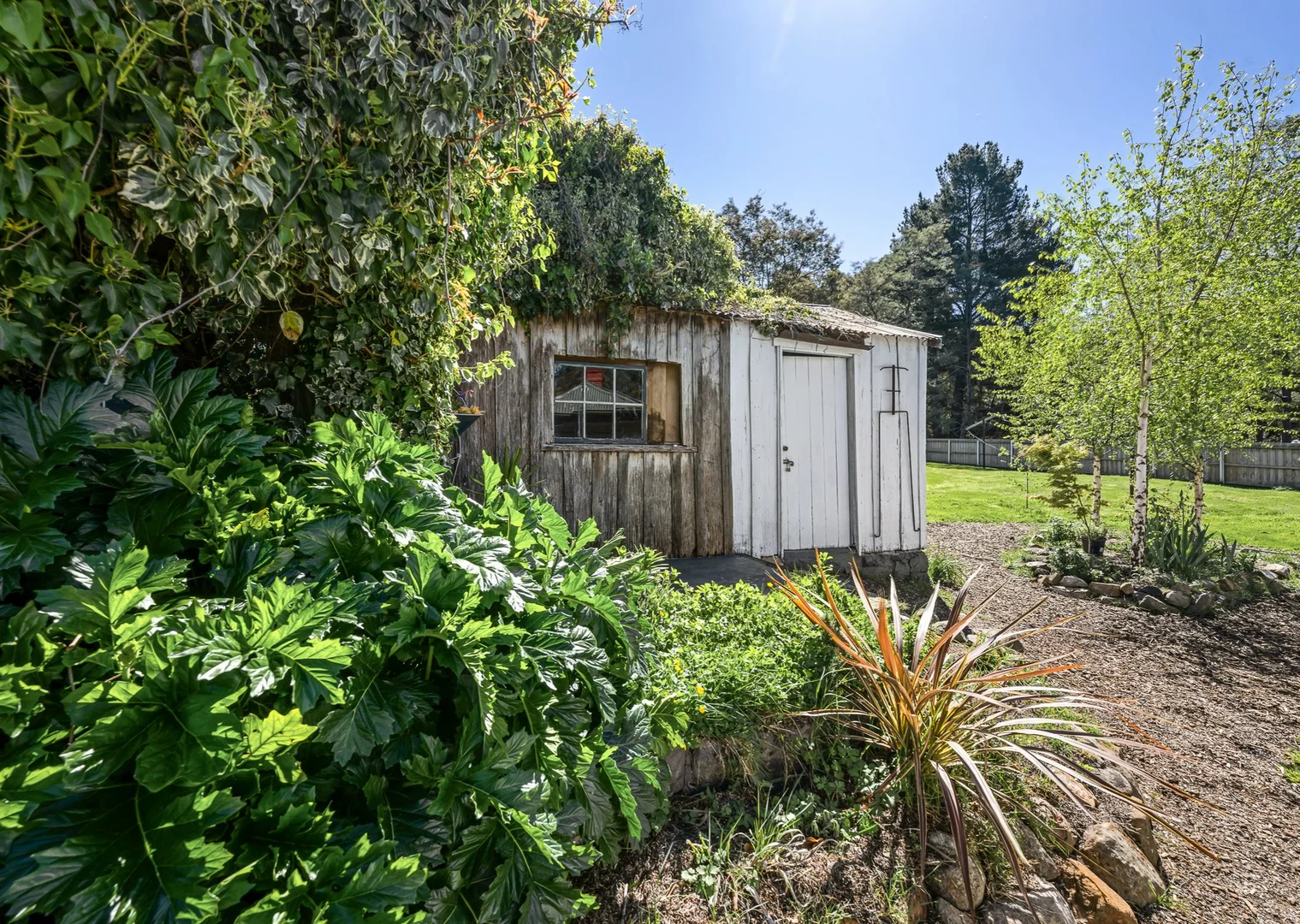 Additional image 31 of 4 Franks Street, St Marys TAS 7215