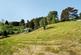 Additional image 14 of High Break, Lindale, Grange-over-Sands, Cumbria, LA11 6LF
