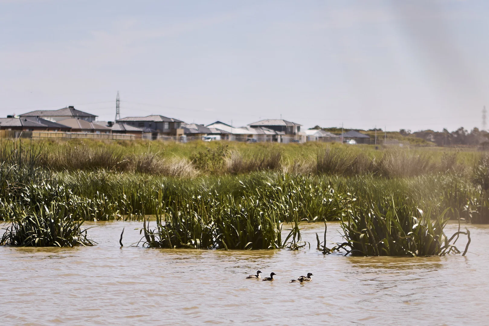 Additional image 6 of Geometry Drive, Armstrong Creek VIC 3217