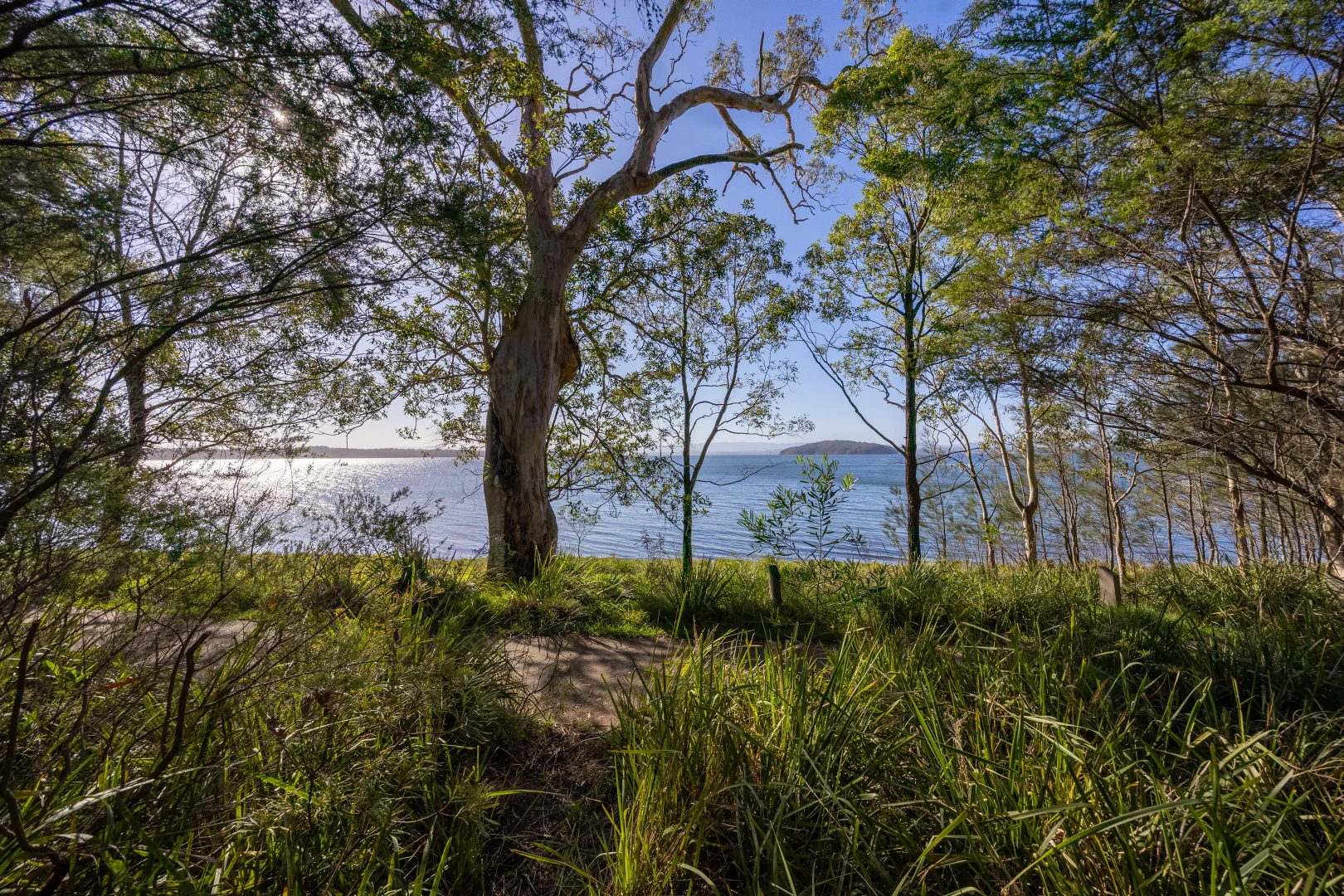 Additional image 6 of 41 Lake Point Way, Murrays Beach NSW 2281
