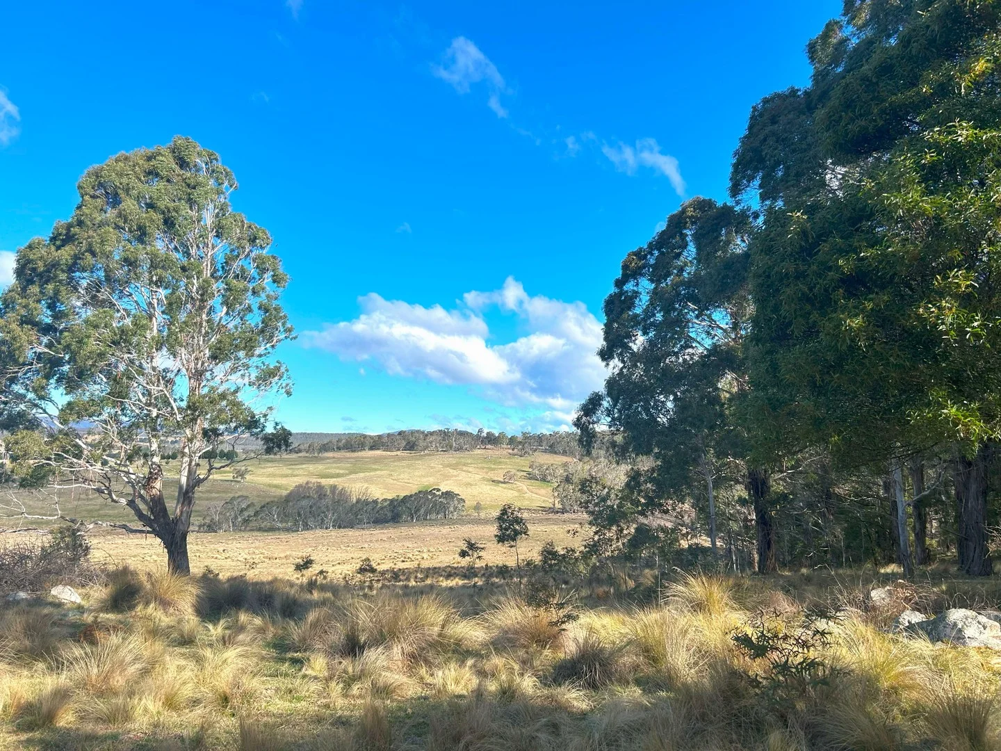 Additional image 2 of 11 & 128 Stoney Ridge Road, Braidwood NSW 2622