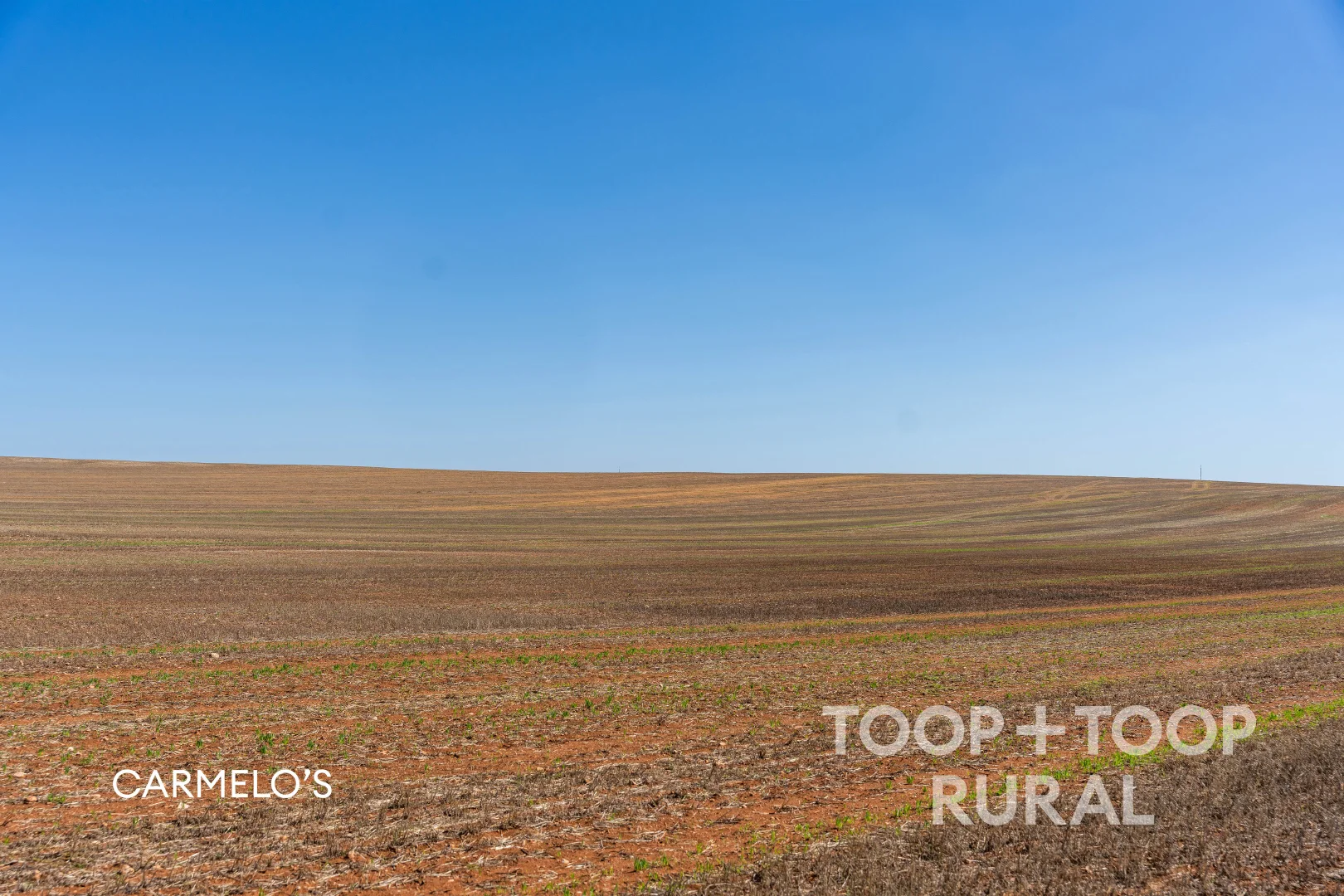 Additional image 4 of 833 Walshs Bore Road, Copeville SA 5308