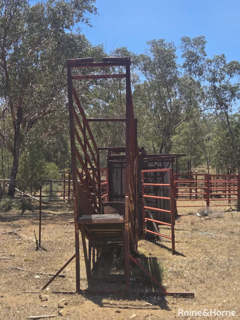 Additional image 5 of 647 Sweedmans Road, Limevale QLD 4384