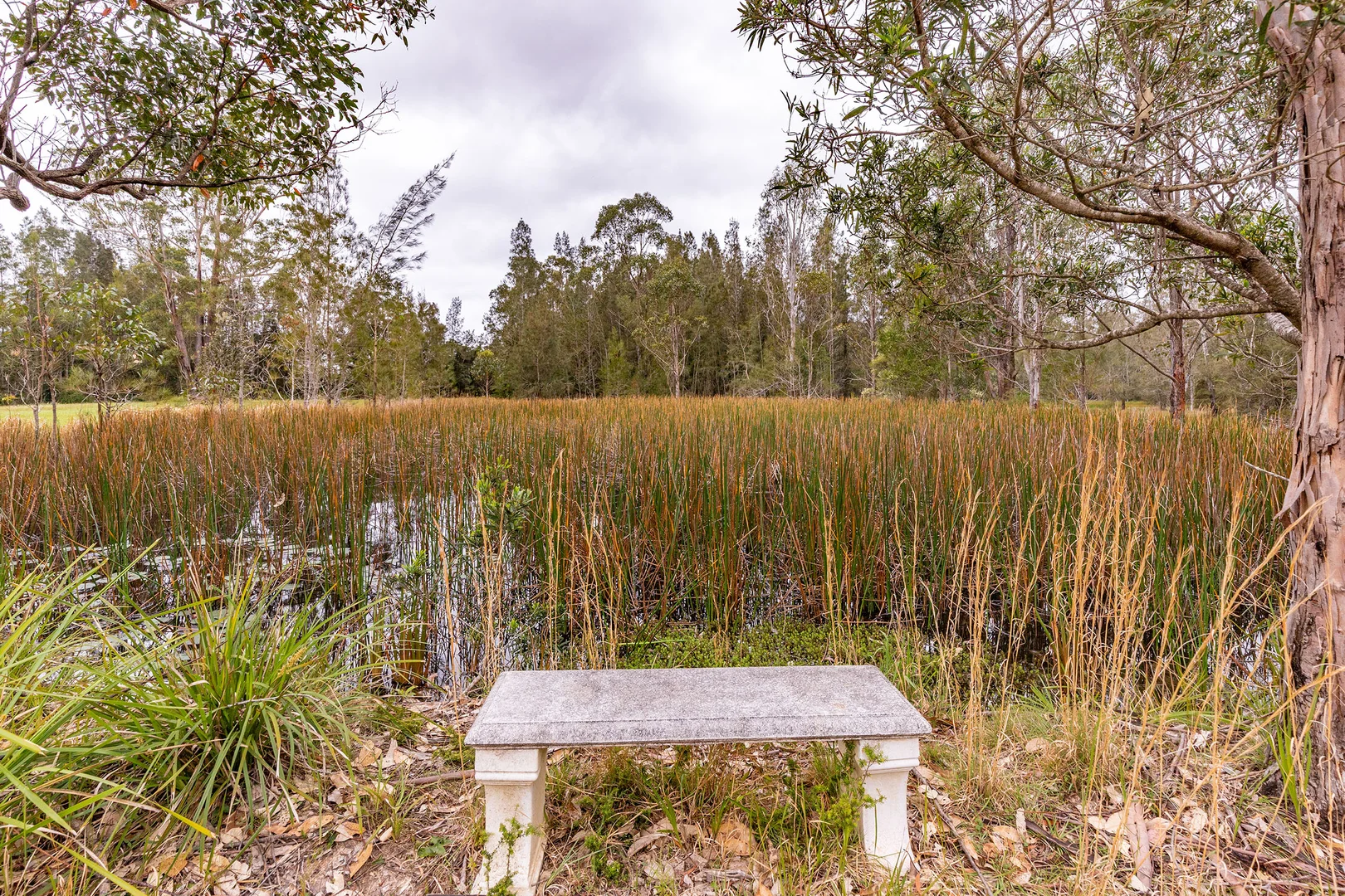 Additional image 33 of 1318 Wattley Hill Road, Topi Topi NSW 2423