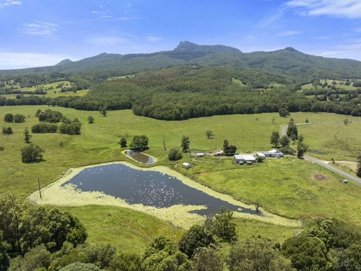 Additional image 5 of 495 Brays Creek Road, Pumpenbil NSW 2484