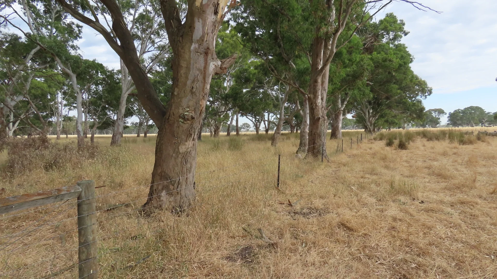 Additional image 18 of 110 Coote Rd, Moerlong SA 5278