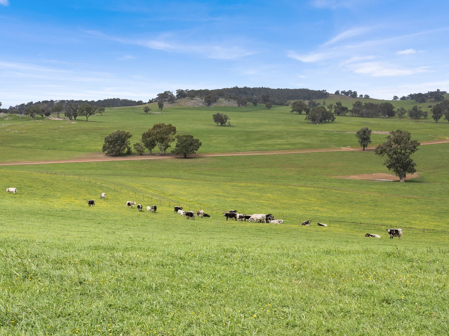 Additional image 34 of 2056 Benalla-Yarrawona Road, Bungeet West VIC 3726