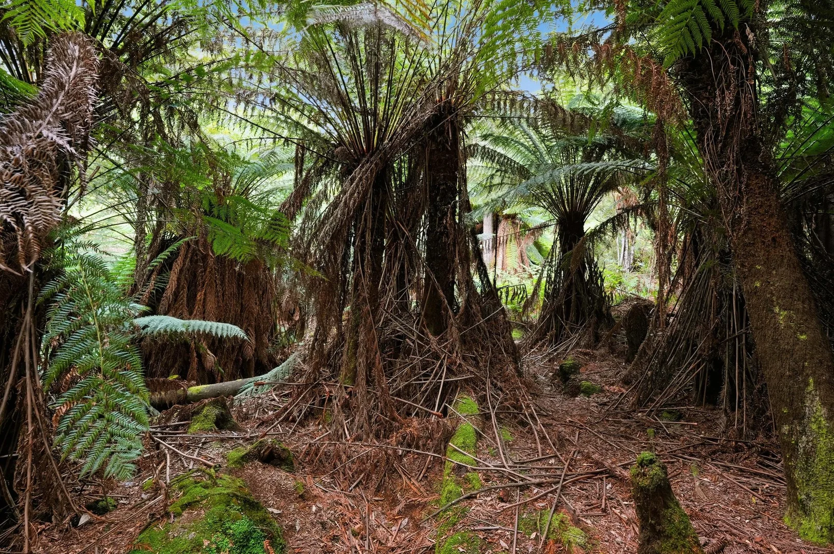 Additional image 3 of 107 Wielangta Road, Kellevie TAS 7176