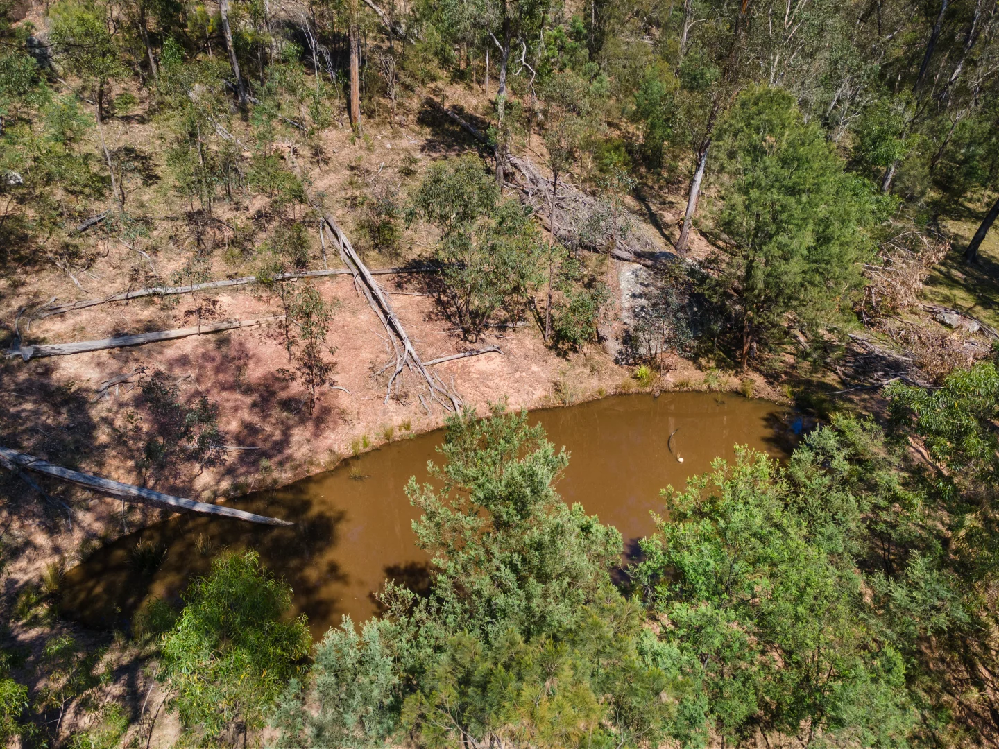 Additional image 15 of Lot 1/1387 Putty Valley Road, Putty NSW 2330
