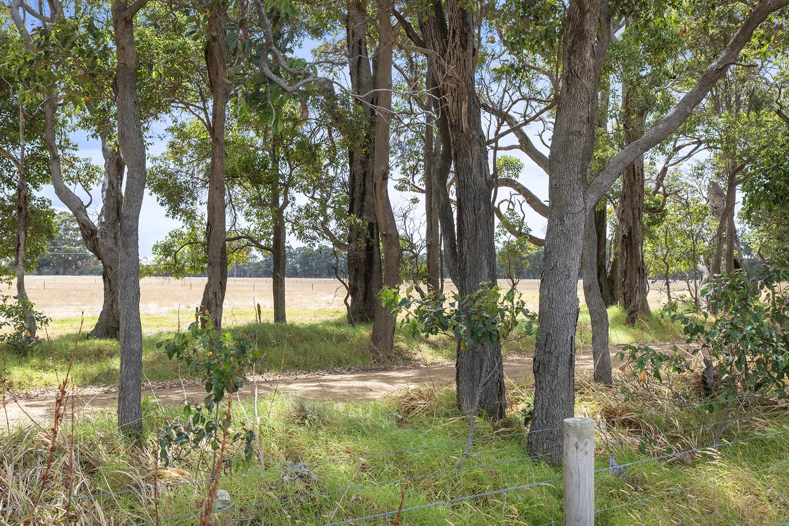 Additional image 5 of 3 Melody Circuit, Cowaramup WA 6284