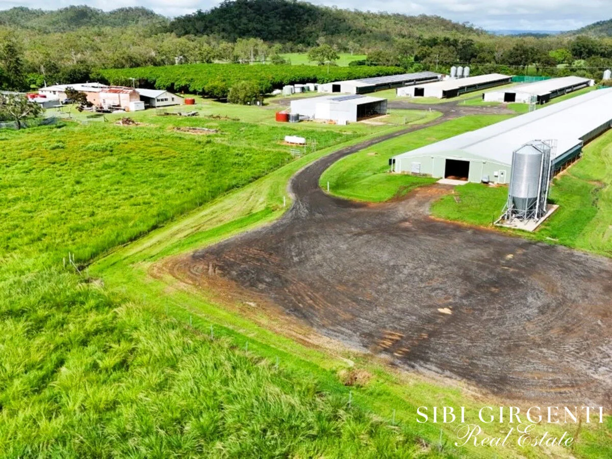 Additional image 19 of 1004 Bilwon Road, Biboohra QLD 4880