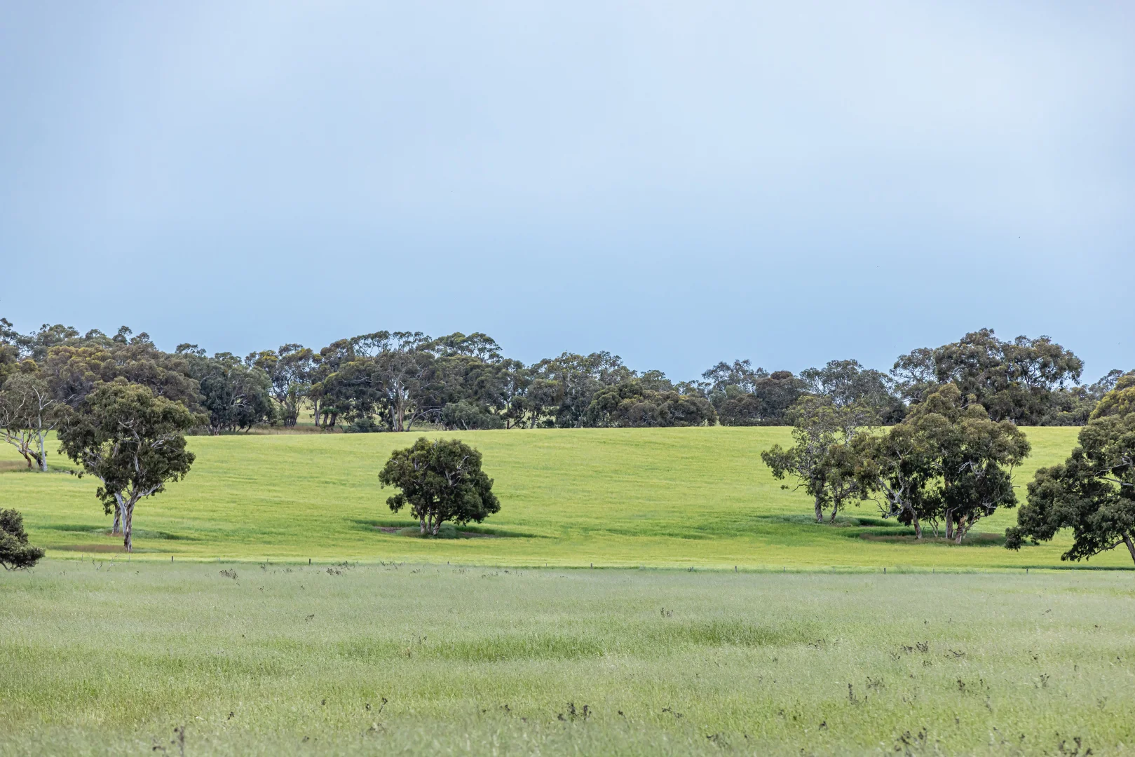 Additional image 22 of Corner Roy Lawries road and Pedericks Road, Lochaber SA 5271