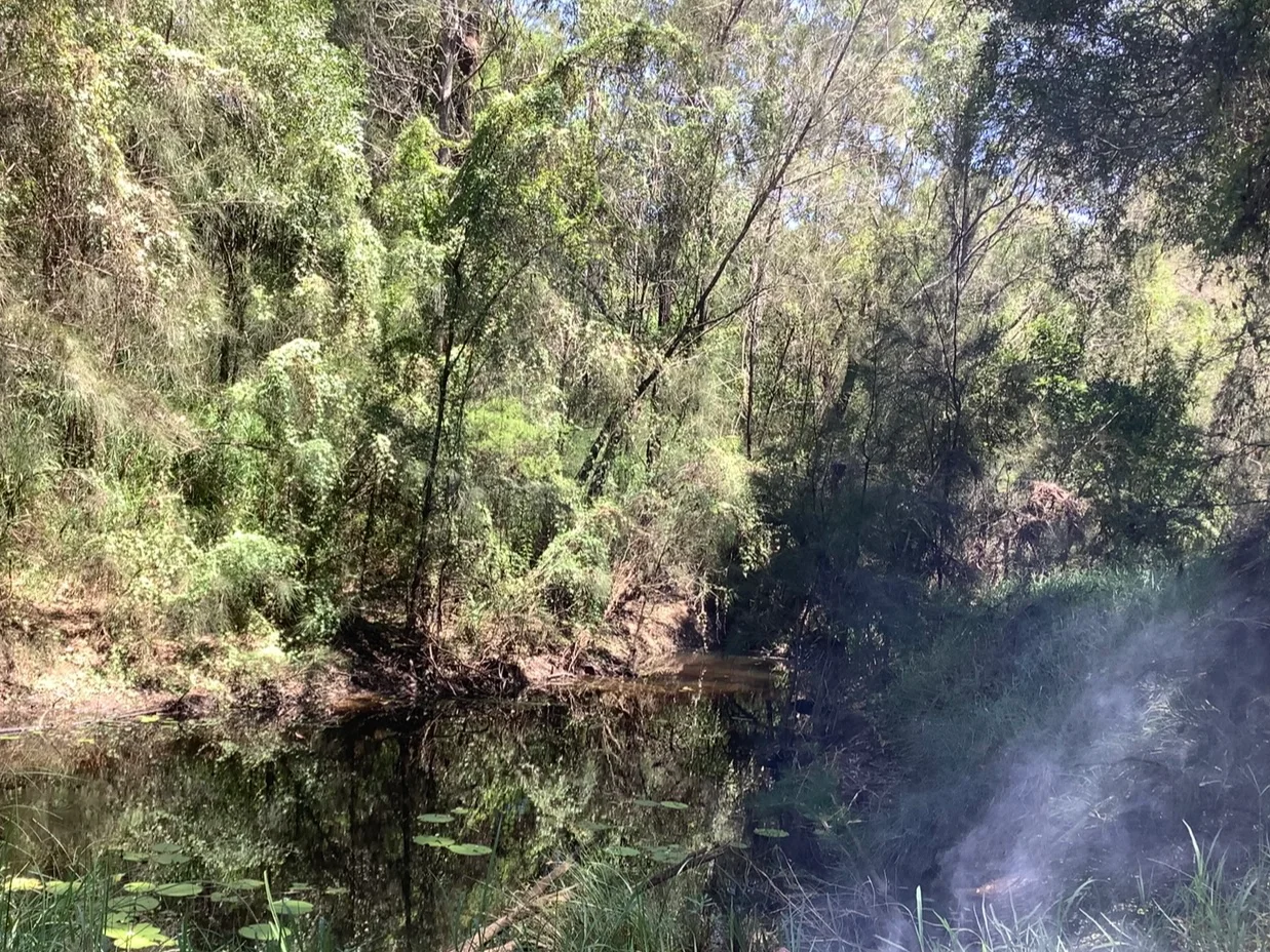 Additional image 12 of 84 Dunford Road East, Grahams Creek QLD 4650